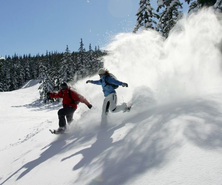 Bend: Half-Day Snowshoe Tour in the Cascade Mountain Range - The Value of Guided Snowshoeing