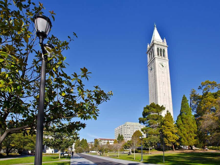 Berkeley: UC Berkeley Campus Guided Walking Tour - What’s Included and What’s Not