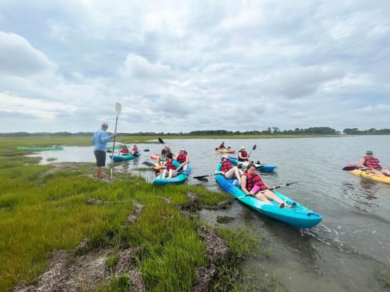 Berlin: Assateague Island Wildlife Discovery Kayak Tour - Who Is This Tour Best For?