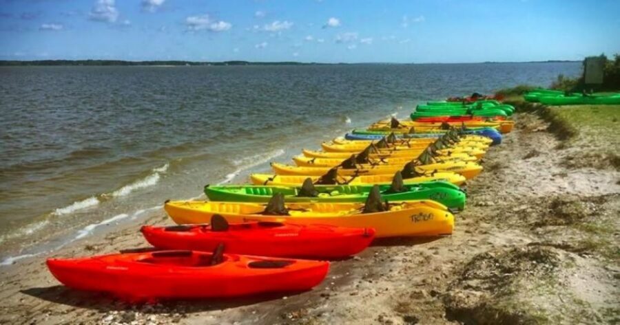 Berlin, MD: Full-, Half, or Quarter-Day Kayak Rental - The Details of the Paddle