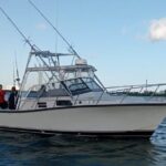 Bertram 35ft boat sport fishing cancun up to 6 passengers - FAQ