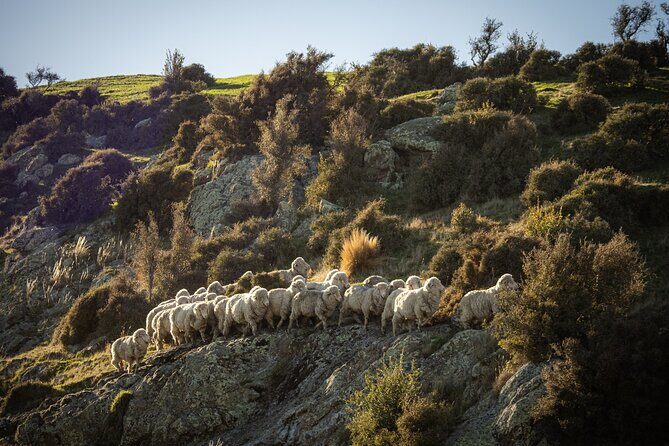 Bespoke Guided High Country Hiking - The Details That Matter