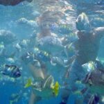 Best of Cabo Highlights 6x1 - What Real Travelers Are Saying