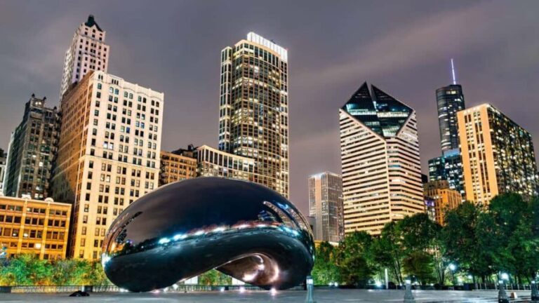 Best of Chicago: Private Walking Tour with a Local - Whats Included & What You Should Know