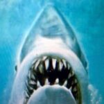 Best of Martha's Vineyard 3 hour Full-Island Tour - Who Should Consider This Tour?