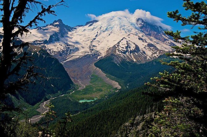 Best of Mount Rainier National Park from Seattle: All-Inclusive Small-Group Tour - The Food and Refreshments