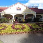 Best of Oahu in One Day - Who Is This Tour Best For?