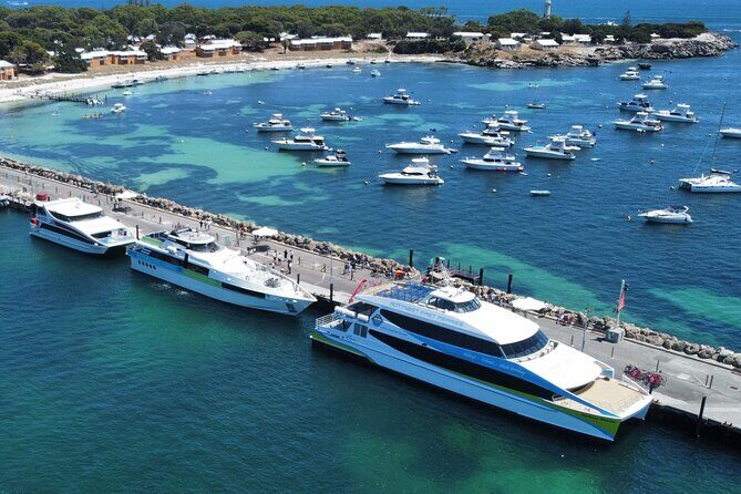 Best of Rotto Self-Guided Tour with Bike and Lunch - Who Will Love This Tour?