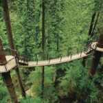 Best of Vancouver Highlights /Suspension Bridge/ Free Pizza Party Tour Private - What Does the Tour Really Deliver?