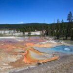 Best of Yellowstone Nat'l Park from W Yellowstone - Private Tour - What Makes This Tour Valuable