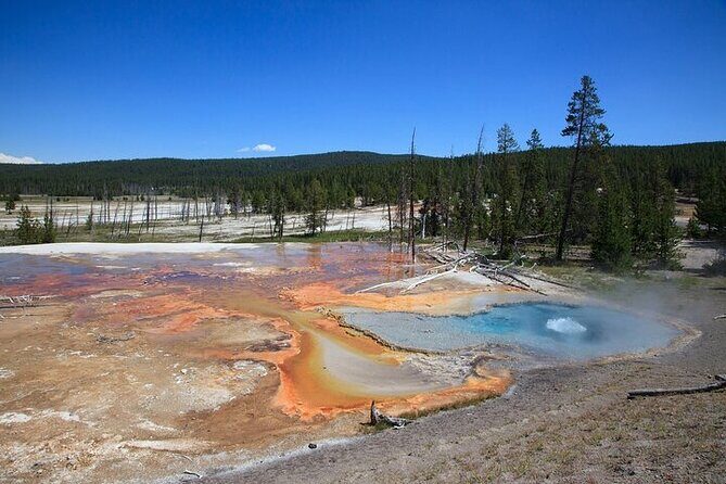 Best of Yellowstone Nat'l Park from W Yellowstone - Private Tour - What Makes This Tour Valuable