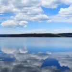 Best of Yellowstone Tour from Paradise Valley - Private Tour - How the Experience Feels: Pros and Cons