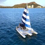 Best Waikiki Whale Watching in Honolulu: Whales Guaranteed - The Value in the Price