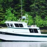 Best Whale Watching and Wildlife Shore Excursion in Sitka - The Downsides & Considerations