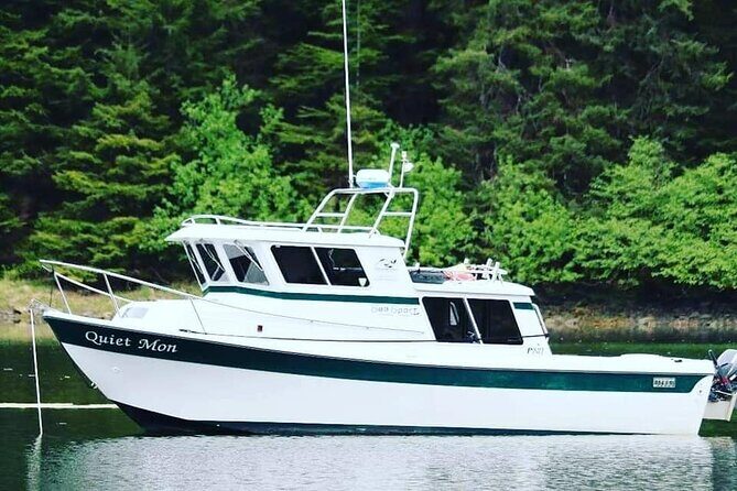 Best Whale Watching and Wildlife Shore Excursion in Sitka - The Downsides & Considerations