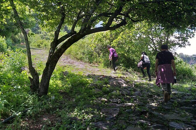 Between Tunnels and Bats - The Value and Practicalities