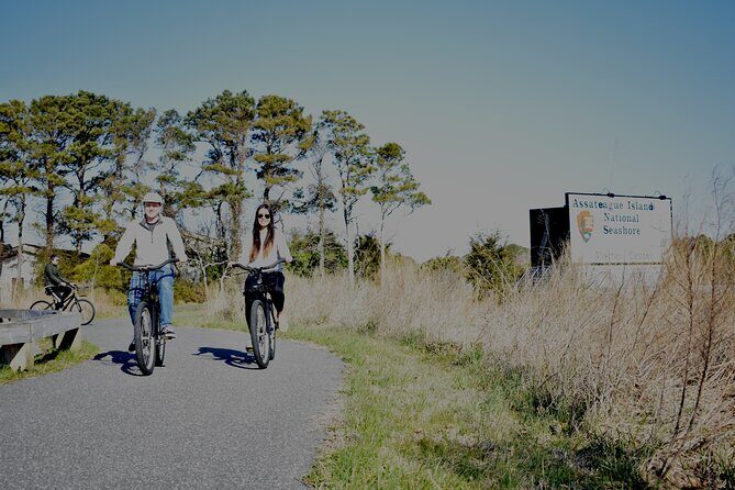 Bicycle Rental from Visitor Center location at Assateague, MD - The Cost and Value