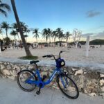 Bicycle Rental in Miami Beach - Why This Bike Rental Is Worth It
