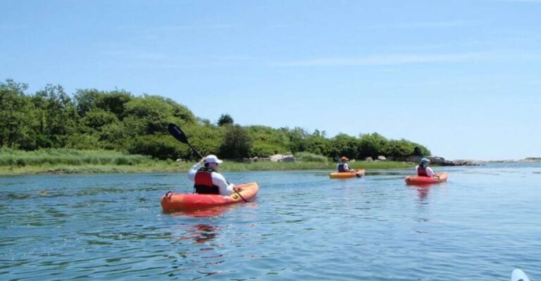 Biddeford Pool: Half Day Kayak or SUP Rental - An Honest Look at the Experience