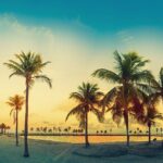 Big Bus Miami: Sightseeing Night Tour by Open-top Bus - The Good and the Not-So-Good