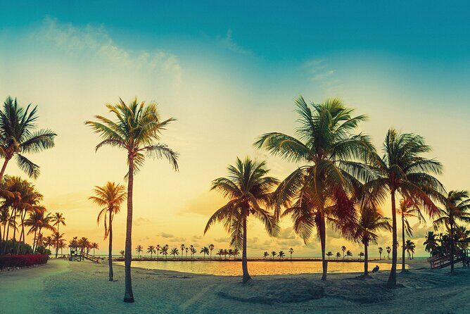 Big Bus Miami: Sightseeing Night Tour by Open-top Bus - The Good and the Not-So-Good