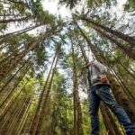 Big Bus San Francisco: Guided Muir Woods Tour - How Good Is the Value?