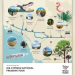Big Cypress National Preserve Audio Tour Guide - An In-Depth Look at the Tour Itinerary