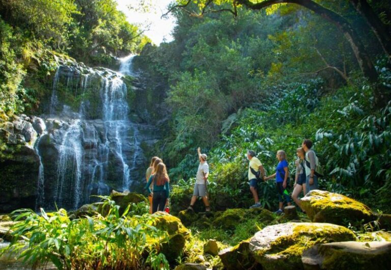 Big Island: Full Day Adventure Tour of the Kohala Waterfalls - The Details that Matter