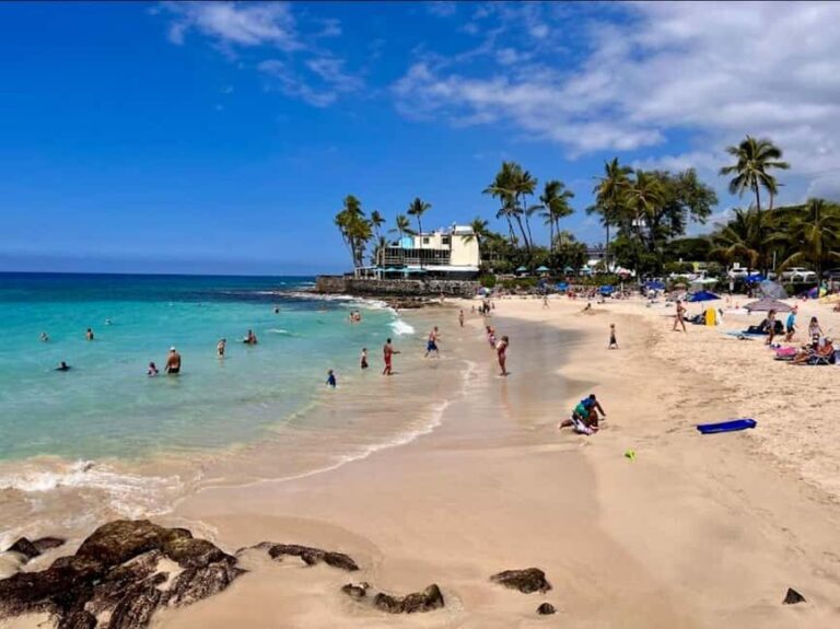 Big Island: Hilo to Kona Day Tour with Tastings - Final Thoughts