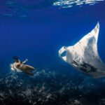 Big Island, Kona Manta Ray Night Snorkel Tour - FAQ