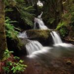 Big Island: Waterfall Tour with Swimming & Botanical Garden - FAQs