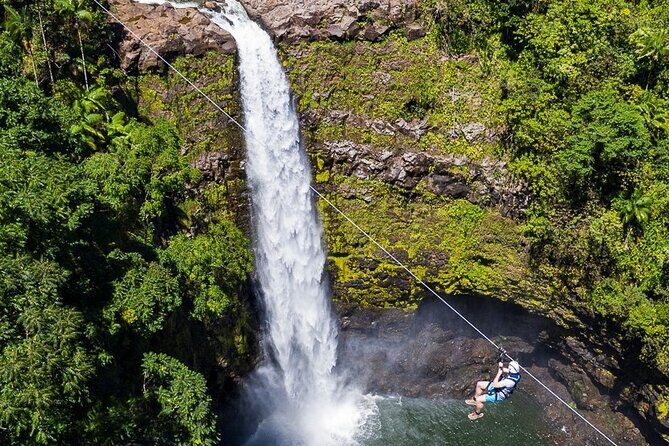 Big Island Zipline over KoleKole Falls w/ Hilo Cruise Ship Pickup - What the Zipline Adventure Looks Like