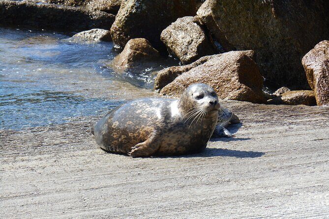 Big Sur Sightseeing Tour - Final Thoughts
