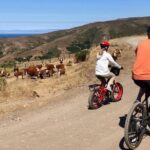 Big Sur's Old Coast Road eBike Tour - Andrew Molera State Park