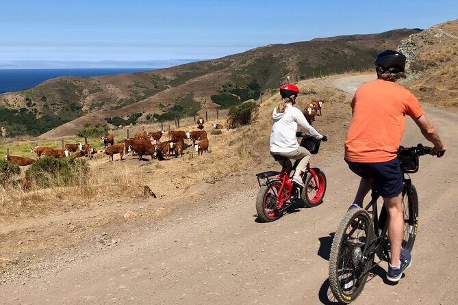 Big Sur's Old Coast Road eBike Tour - Andrew Molera State Park