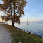 Bike and Hike Vancouver - The Value of the Tour