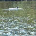 Bike Bicycle Rentals in Cape Coral - Additional Info to Keep in Mind