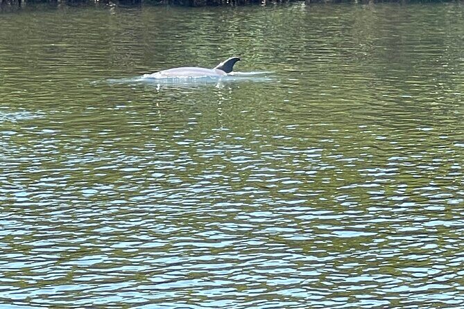 Bike Bicycle Rentals in Cape Coral - Additional Info to Keep in Mind