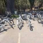 BIKE RIDE THROUGH ICONIC SITES OF THE CDMX / BREAKFAST & BEER - Practical Tips for Making the Most of Your Ride