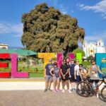 Bike Ride to the Largest Tree in the World - Detailed Breakdown of the Tour Experience