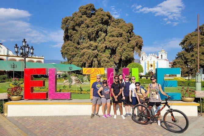 Bike Ride to the Largest Tree in the World - Detailed Breakdown of the Tour Experience