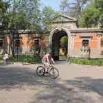 Bike tour in the Chapultepec Forest and Roma Condesa - What to Expect at Each Stop