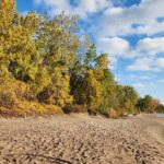 Bike Tour Toronto Harbourfront and Toronto Islands (Economical) - The Practicalities