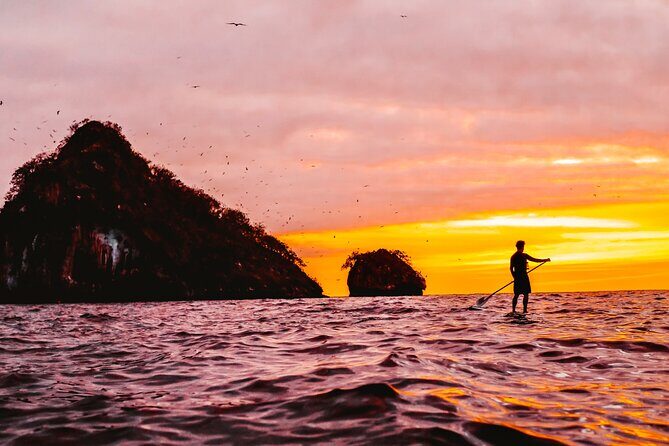Bioluminescence by kayak or SUP to Los Arcos Puerto Vallarta - The Experience in Detail