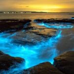 Bioluminescence Kayak Holbox  Night Eco Tour & Stargazing - Who should consider this tour?