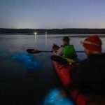 Bioluminescence Kayak Tour at Fort Flagler State Park - The Experience: From Scenic Views to Bioluminescent Wonder