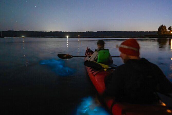 Bioluminescence Kayak Tour at Fort Flagler State Park - The Experience: From Scenic Views to Bioluminescent Wonder