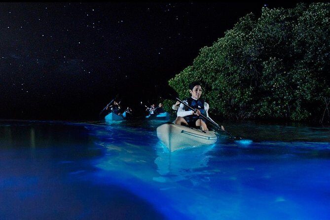 Bioluminescence Night Kayaking Tour of Merritt Island Wildlife Refuge - Frequently Asked Questions