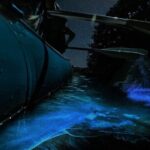Bioluminescence Rafting Tour Cocoa Beach - Why This Tour Stands Out