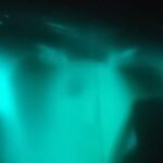 Bioluminescence swim with stars - The Itinerary in Detail